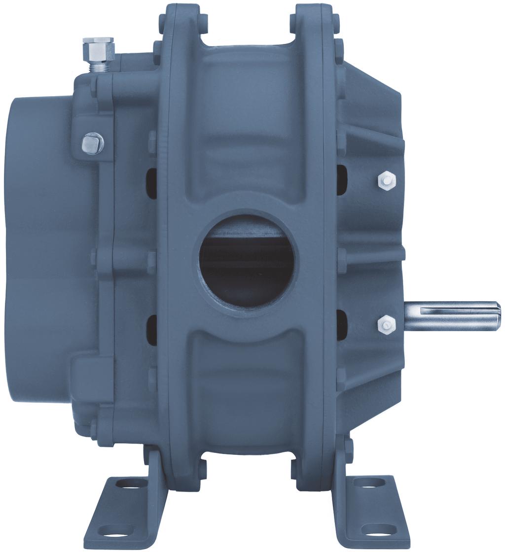 Low cost The ROOTS Universal RAI line of blowers is designed with the latest engineering technology and built using the most modern manufacturing processes.