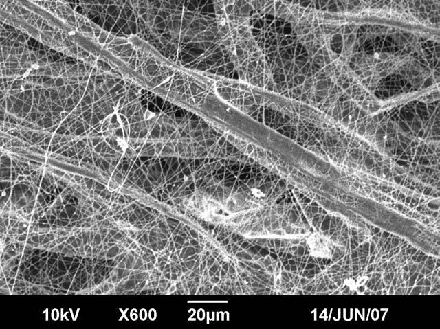 those with extremely sticky or agglomerative dust. They cost up to three times more than cellu- Figure 1 Size comparison of melt-blown fibers and nanofibers a.