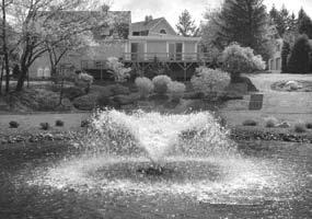 These systems, known for their ability to keep water clean, are unlike other fountain systems.