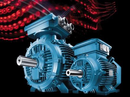 expectations concerning lifetime reliability of motors.