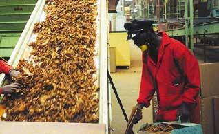 What s more, all of our belting solutions for the Tobacco Industry are subject to regular stringent testing in accordance with international quality standards (ISO9002, EN29002, EC, FDA).