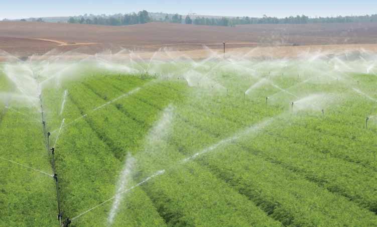 Introduction NaananJain develops, manufactures and markets the largest selection of comprehensive irrigation technologies, designed for economical and efficient water management.