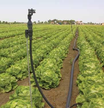 501-U IrriStand systems Turbo hammer low-volume sprinkler mounted on IrriStand 50 1/2 M adaptor Applications: vegetables, greenhouses, residential and landscaping For spacing up to 8 m Excellent