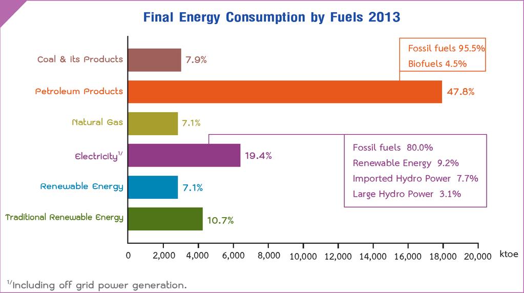 Final Energy Consumption by Fuels 2013 Source: Department of
