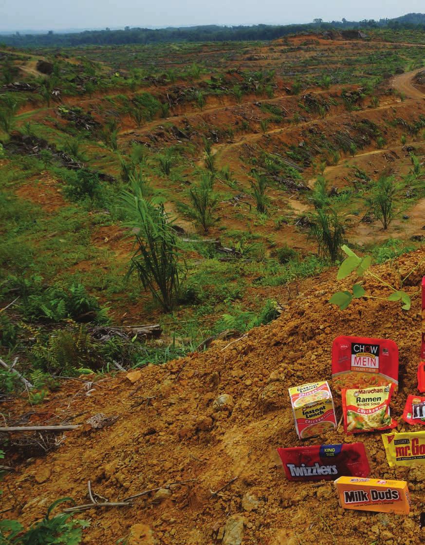 ENDING THE TRAFFICKING OF CONFLICT PALM OIL: CUTTING BAD ACTORS The time for inaction is over; words are no longer enough.