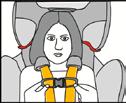 Fasten chest clip. 6. Pull up on each shoulder strap to tighten the lower section of the harness.