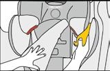 Section 11: HARNESS MODE Installation Locking Lap Belt (2 point) Installation Harness Mode 4 4. Buckle the seat belt. 5 5.