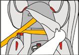 Repeat as needed until the child seat cannot be moved more than one inch (2.5 cm) in either direction at the belt path. 6 6.