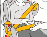 Ensure the buckle is engaged by gently pulling on the seat belt. 5.