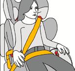 First remove the slack from the lap portion of the vehicle seat belt and then the shoulder portion for the most
