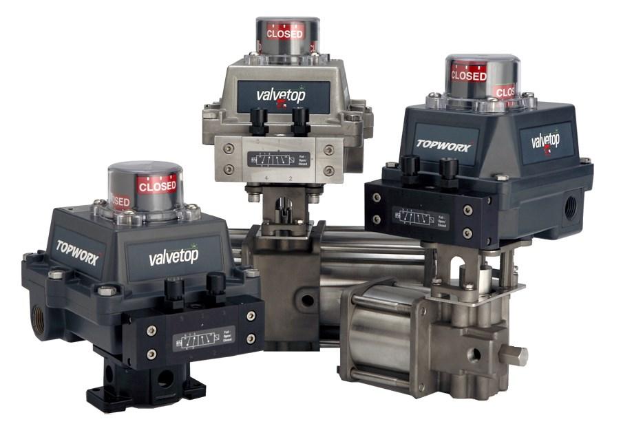 Valvetop D-Series with 32 Option Pepperl+Fuchs NJ5-30GK-S1N Installation, Operation & Maintenance Manual Table of