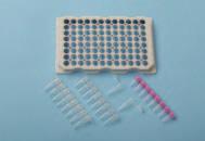 plates 8x0.2ml PCR strip tubes / 0.