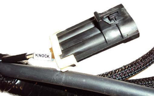 This plug is located about 8 inches from the ECU connector. The handheld controller also has a white and a black wire. The black wire should be run to a sound vehicle ground.