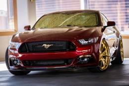 inch lower than a standard Mustang GT on Steeda shocks and springs; Wilwood brakes provide stopping power, and a Ford Racing supercharger bumps the 5.