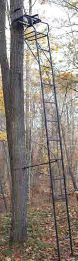 Bowman Designed for Bowhunters Model re635 Sits Tall and