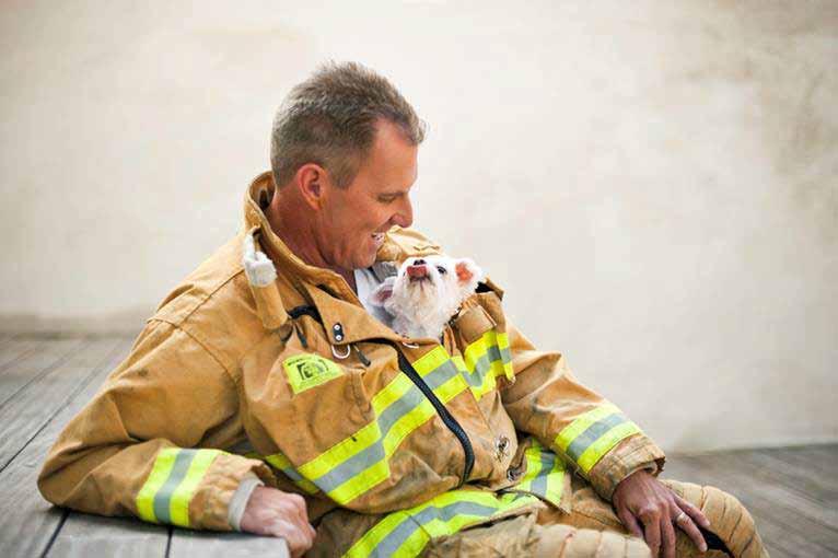 matthew + teddy As a Firefighter and Paramedic, Matthew is trained to help save lives. But his most rewarding off-duty rescue happened when he adopted his 6-lb. Maltese, Teddy.