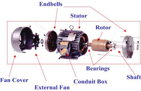 Types of Motors Three Phase AC Motors Squirrel Cage Induction Motors These motors meet many of the requirements found in industry.