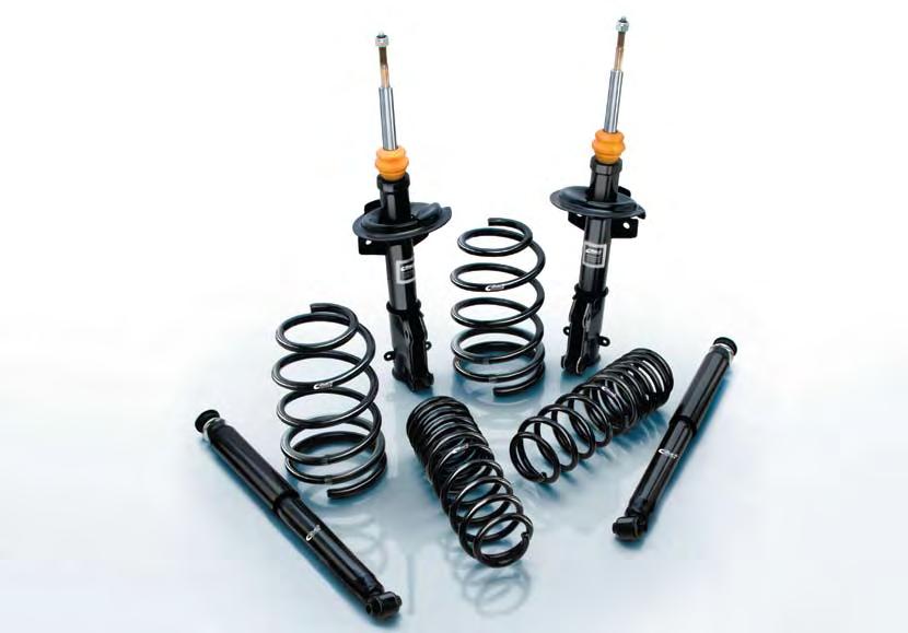12 PRO-SYSTEM* Performance Springs + Shocks All PRO-PLUS, PRO-SYSTEM and PRO-SYSTEM-PLUS Include a 10% Discount Over Individual Kits!