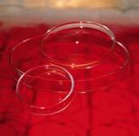 petri dishes Biological and medical applications especially in microscopical studies Lid Neutral glass DIAM.