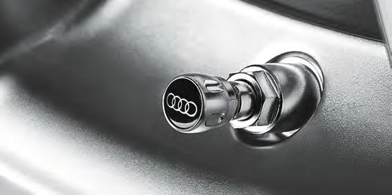 Consult your authorized Audi dealer for available colors.