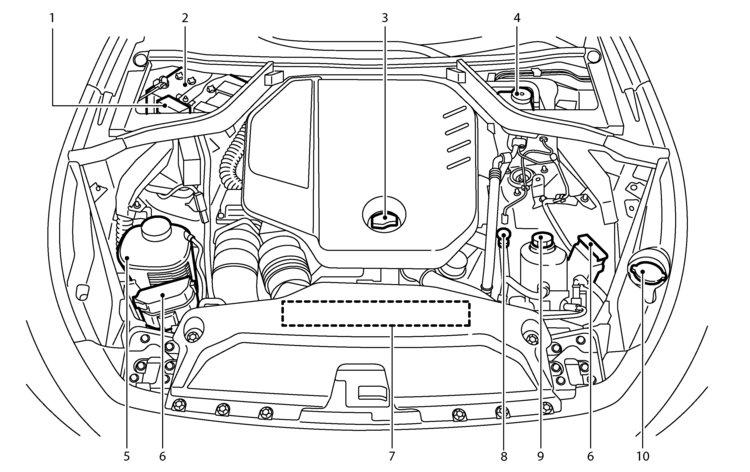 10. Window washer fluid reservoir (P. 8-20) The auxiliary battery is located in the boot. (See Battery in the 8. Maintenance and do-it-yourself section (P. 8-20.) *: The layout illustrated is for the Left-Hand Drive (LHD) model.