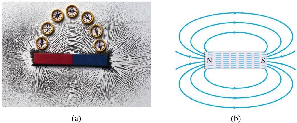 Magnets and Magnetic Fields Magnetic fields can be