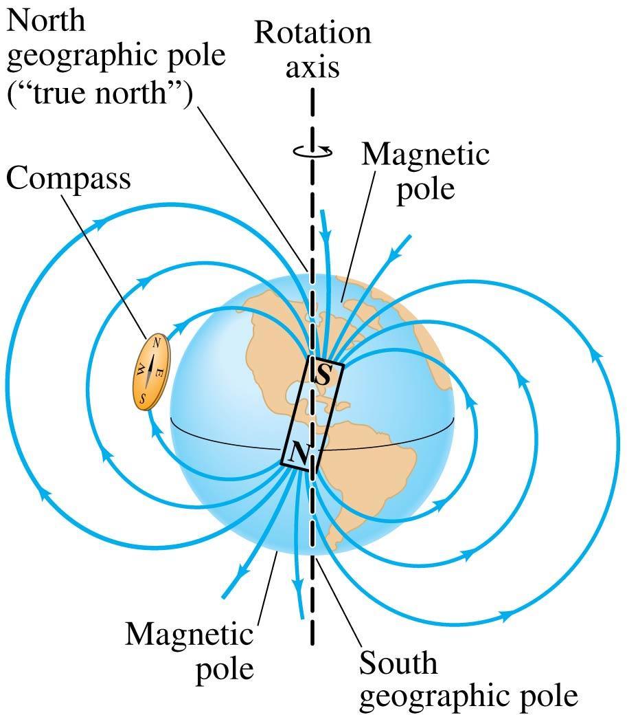 Magnets and Magnetic Fields The Earth s magnetic field is similar to that of a bar magnet.