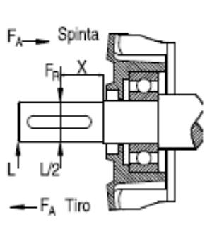 5.3 RADIAL FORCE PERMISSIBLE AT THE SHAFT END The table below shows the permissible radial load (F R) position in the L / 2, assuming the engine operating at 50 Hz and a working life of the bearings