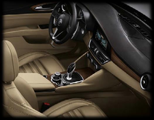 All combinations include a black leather wrapped upper dashboard & door panel w/ colour coordinated stitching.