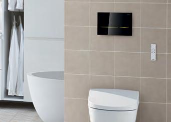 space constraint in placing the flush plate.