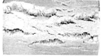 Figure.7.5 Photographs of vulcanizates of 1.