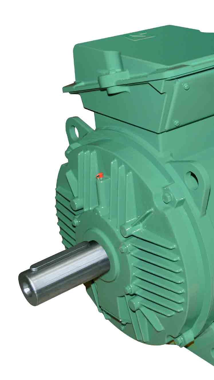 LC series Designed to last Mechanically robust Robust design based on simulation and testing Robust cast iron or steel end shields Rigorous balancing provides a reduced level of vibration Approved