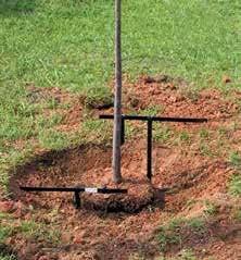 Root Ball Deep Root Fertilization and Watering Tree Planting Detail Not to Scale Tom ahawk 42" up to 5" caliper Item# 82100 0 Lbs./Case: 67 32" up to 3" caliper Item# 82101 0 Lbs.