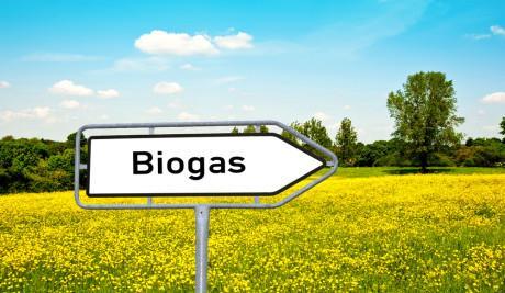 Biogas Twelve publicly acessible stations provide CBG (of which Transnova has funded 7) Around 400 busses can potentially run on LBG Probably less than 500