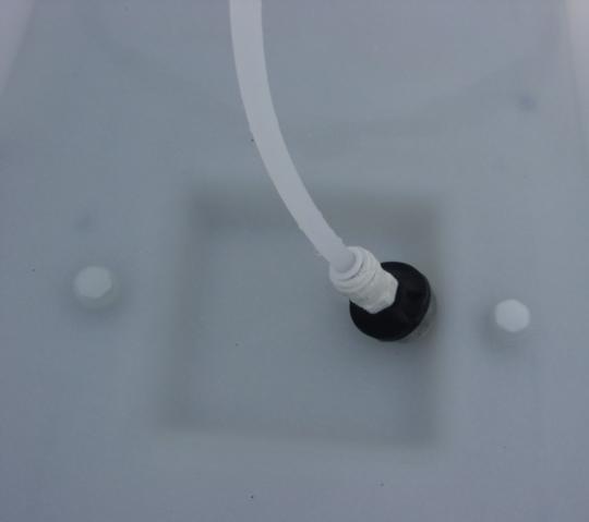 -Flush and fill tanks with tap water; clean any foreign matter out of tank using clean-out cap.