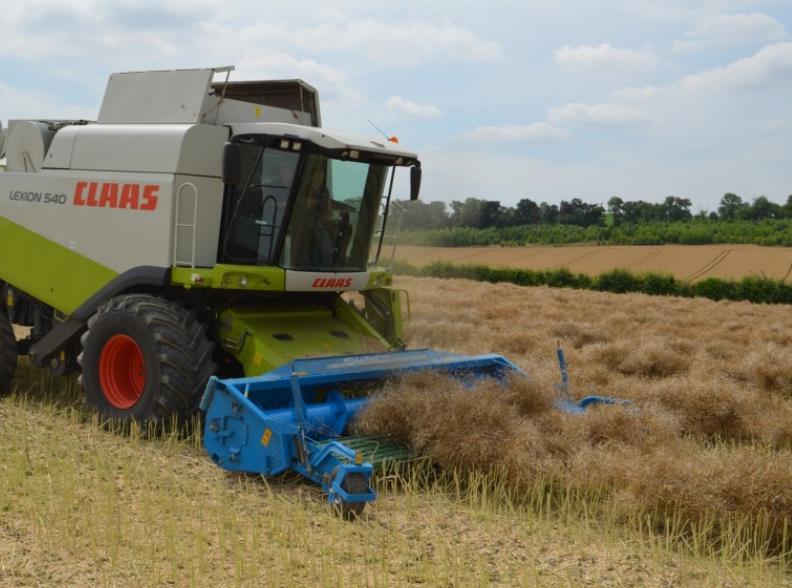 Picture 6. Harvesting rape with a pick-up header. Photo: Shelbourne Reynolds The method is widely used for organic farming because of the large amount of weeds in the field.