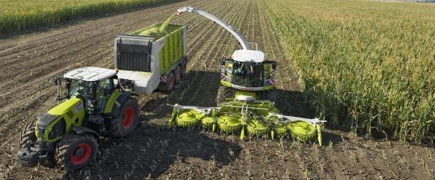 MAIZE Current harvesting method There are three methods for harvesting of maize.