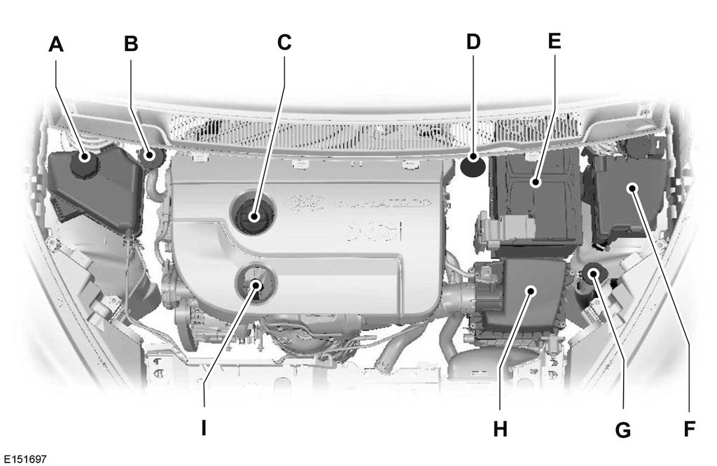 Maintenance UNDER HOOD OVERVIEW - 1.5L DURATORQ-TDCI (67KW/91PS) A B C D E F G H I Engine coolant reservoir * : See Engine Coolant Check (page 134).