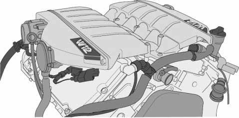 Unlike the W8 engine, each of the manifolds is coupled to a throttle valve