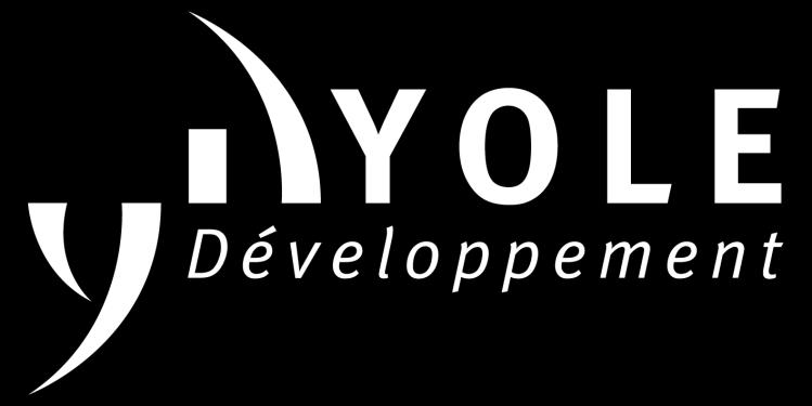 Yole Développement Sales and Marketing Director 2013