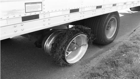 Tire Load Limits Tire Load Ratings Example tire load capacities Tires The