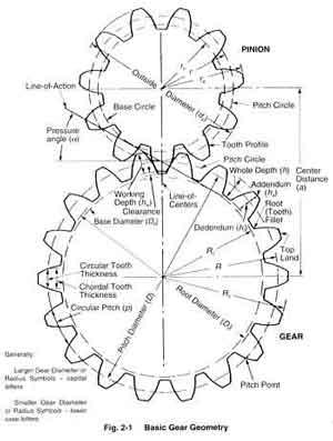 2.1 Basic Geometry Of Spur Gears The fundamentals of gearing are illustrated through the spur gear tooth, both because it is the simplest, and hence most comprehensible, and because it is the form