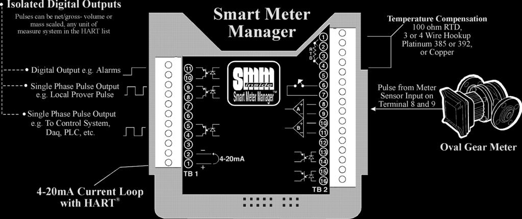 Figure 3 Typical Application: 9900 Series Oval Flowmeter with integral Smart Meter Manager Figure 4 Typical Application: 9900 Series Oval Flowmeter with Smart Meter Manager TM The contents of this