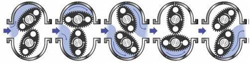 Inside the chamber, fluid forces the internal gears to rotate before exiting through the outlet port. Each rotation of the gears displaces a specific volume of fluid.
