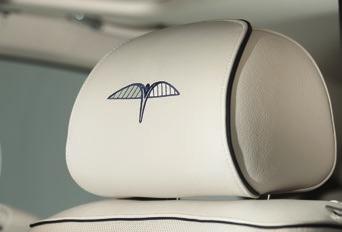 personalised motif to the headrest, embroidery, treadplates and the coachline.