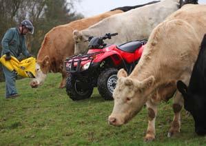 Guaranteed quality Our ATVs are relied upon daily for an almost infinite variety of tasks, by all