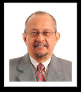 Non-Executive Director Dato Mohamad Kamarudin bin Hassan Audit and Risk