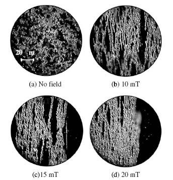 Many variations of the quantity of ferrous iron to fluid ratios exist for MR fluid.