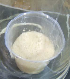 volume of the beaker since the degassing process may cause the polyurethane to boil out