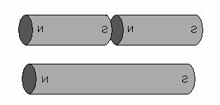 The type of pole determines whether the magnet will attract or repel a particular pole of another magnet. These arrows represent the direction of the attractive or repulsive magnetic forces.